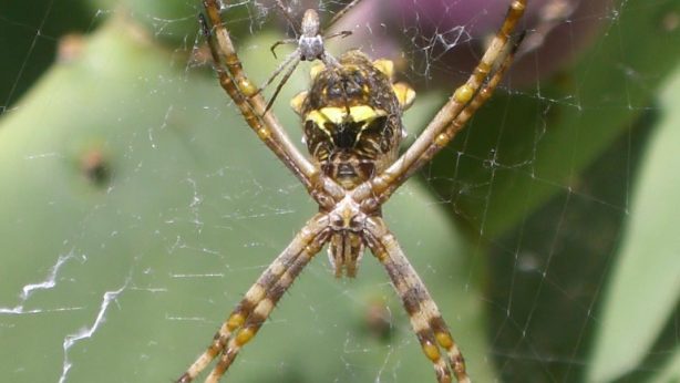 414644_829064745947_290523296_o