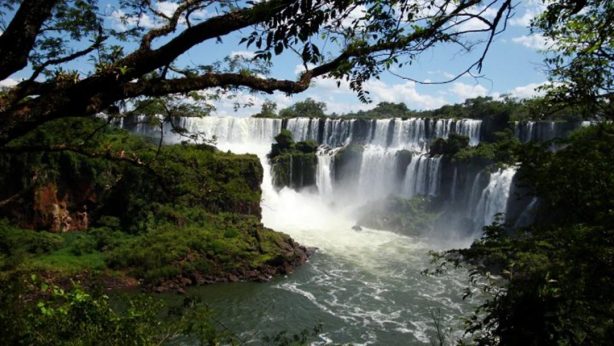 462661_829538805927_2076331399_o