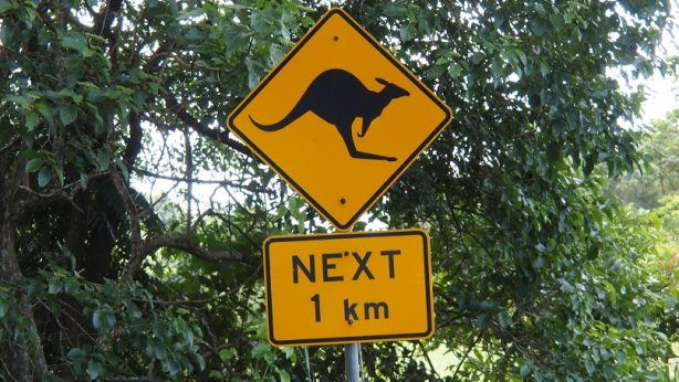 5332955791_a2dedf23ab_b