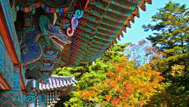 12112350_10100996814877297_1727076350905523439_n