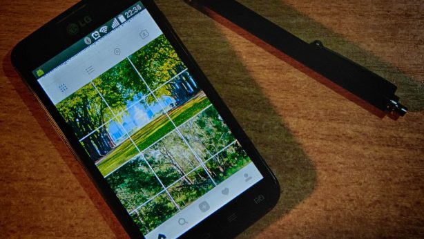 30423772403_7e667f91cc_b