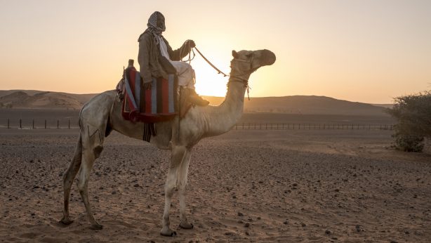 32021711644_1ac0cd21b9_b