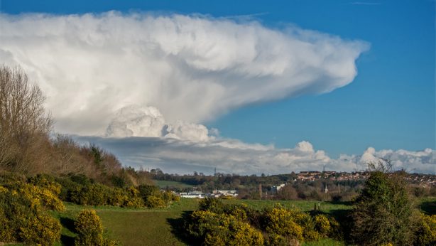 32319562394_64ee9bbff5_b